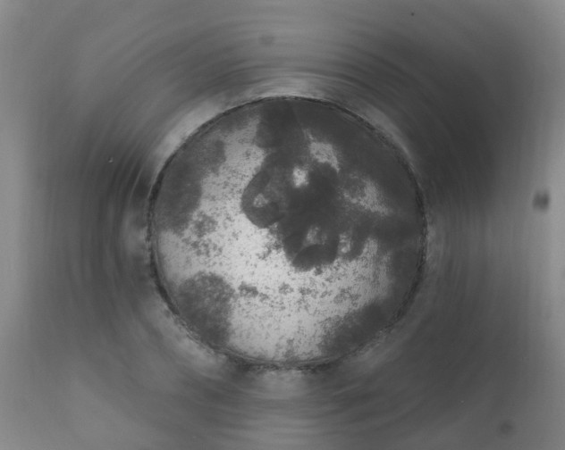 X0000112420882200908211143