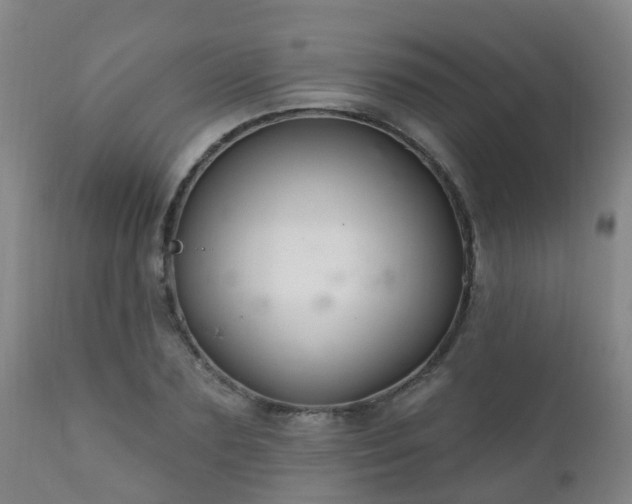 X0000112420883200908211143