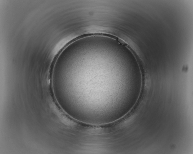 X0000112420885200908211143