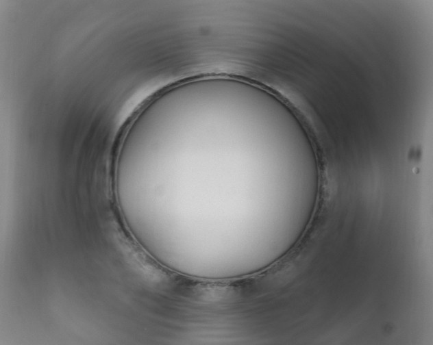 X0000112420886200908211143