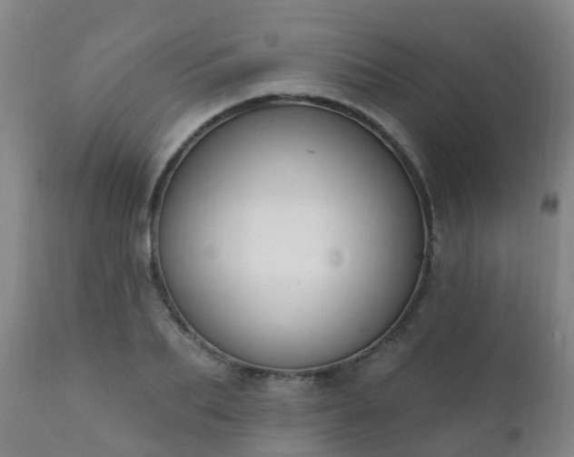 X0000112420887200908211143