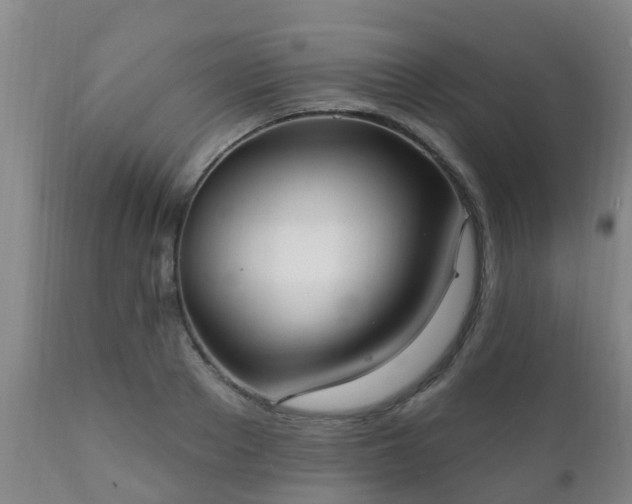 X0000112420889200908211143