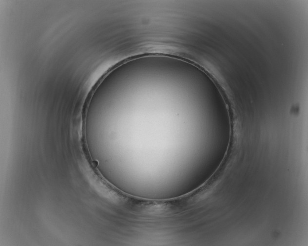 X0000112420891200908211143