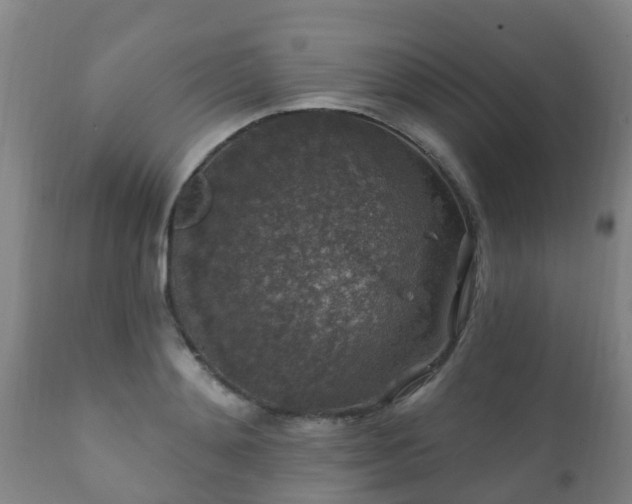 X0000112420892200908211143