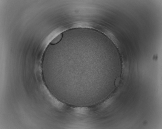 X0000112420893200908211143