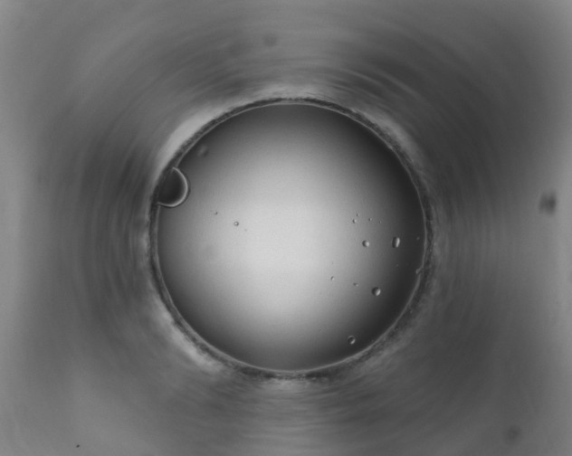 X0000112420894200908211143