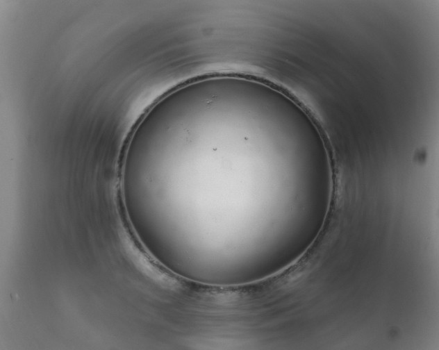 X0000112420895200908211143