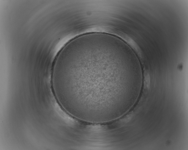 X0000112420896200908211143