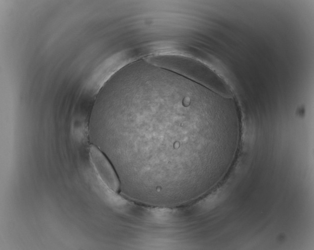 X0000112420897200908211143