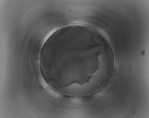 X0000112420899200908211143