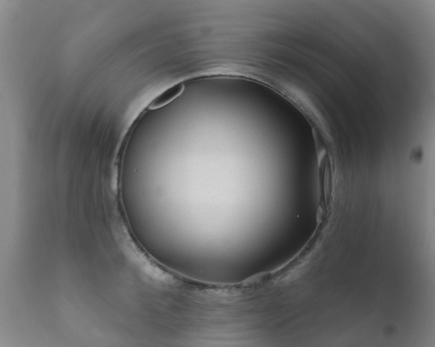 X0000112420900200908211143