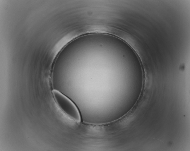 X0000112420901200908211143