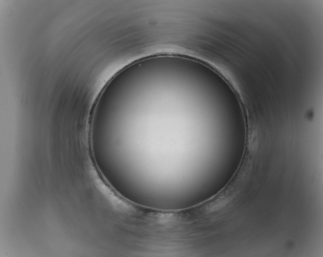 X0000112420903200908211143