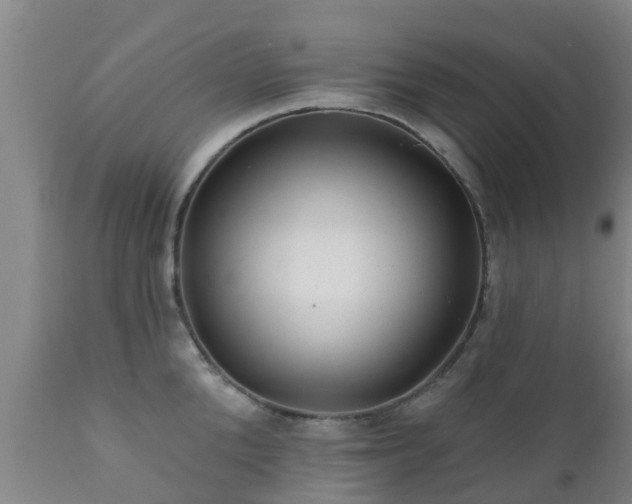 X0000112420904200908211143