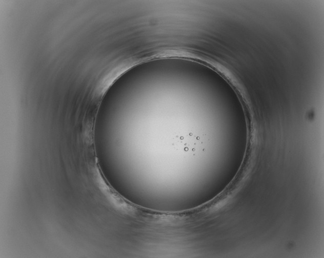 X0000112420905200908211143