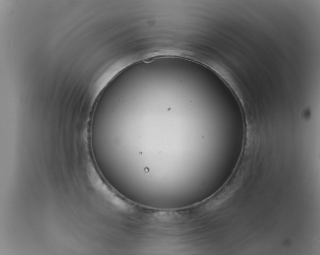 X0000112420906200908211143