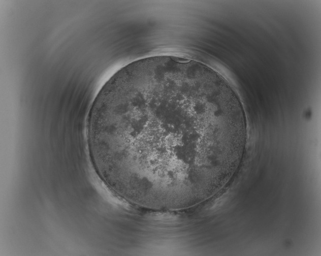 X0000112420907200908211143