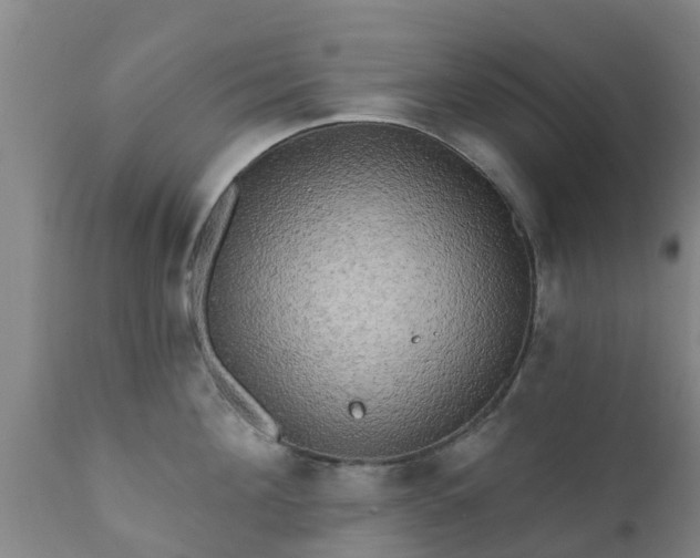 X0000112420908200908211143