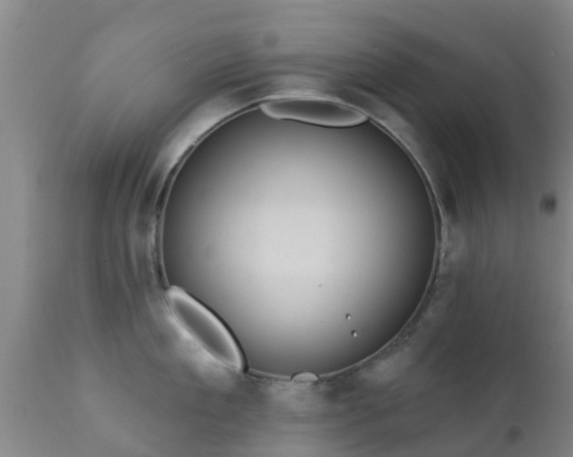 X0000112420909200908211143