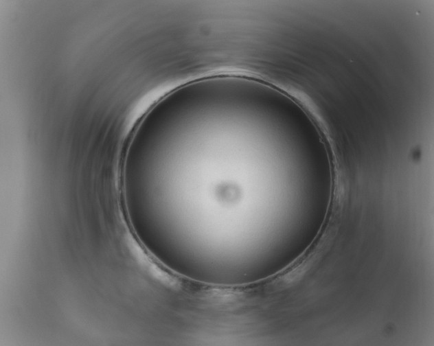 X0000112420910200908211143