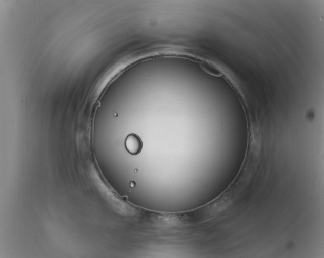 X0000112420911200908211143