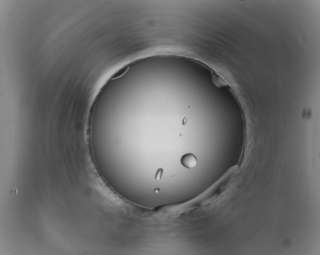 X0000112420912200908211143