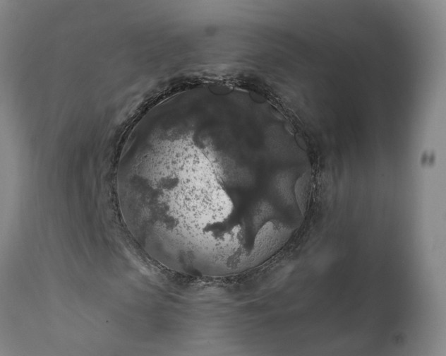 X0000112420913200908211142