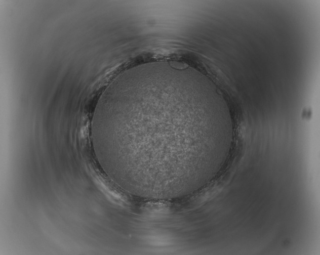 X0000112420914200908211142