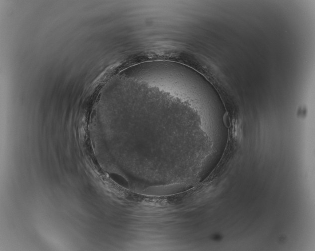 X0000112420915200908211142