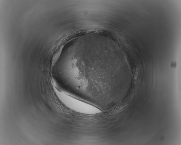 X0000112420916200908211142