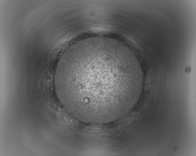 X0000112420917200908211142