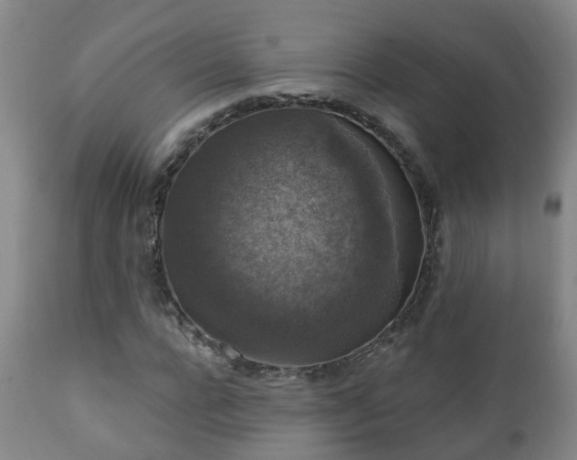 X0000112420920200908211142