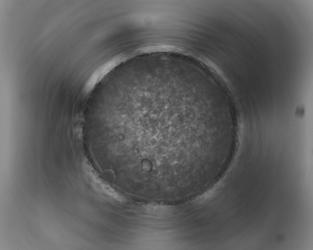 X0000112420921200908211142