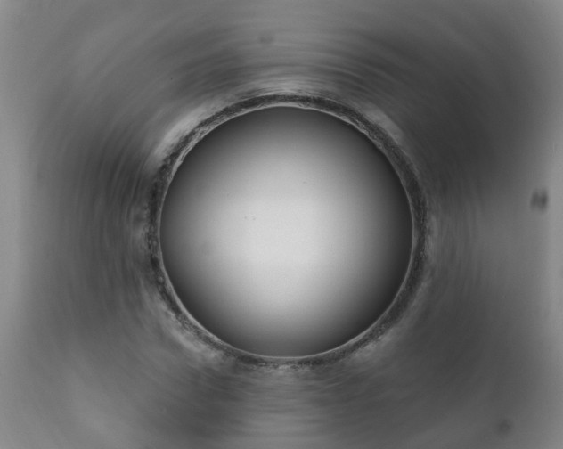 X0000112420922200908211142