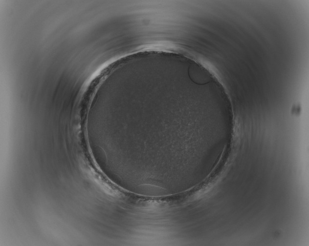 X0000112420923200908211142