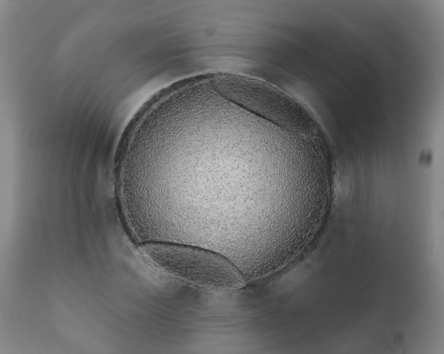 X0000112420924200908211142