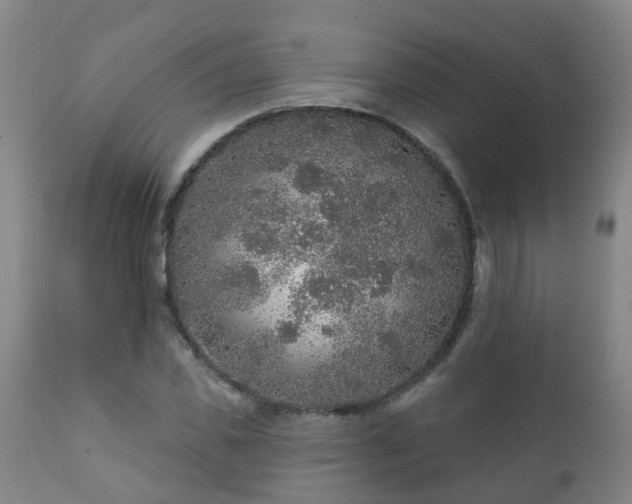 X0000112420925200908211142