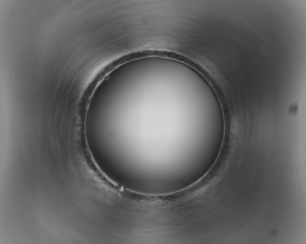 X0000112420926200908211142