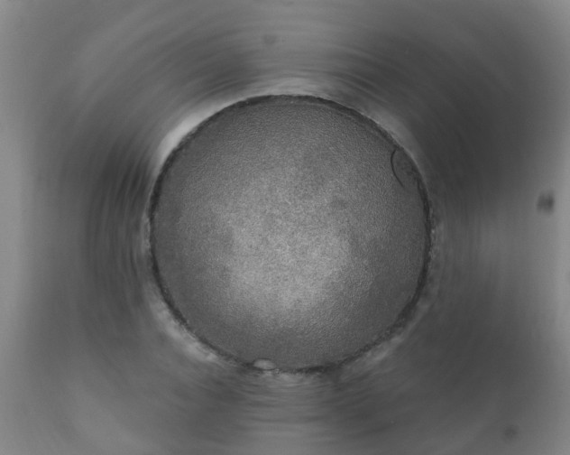 X0000112420928200908211142