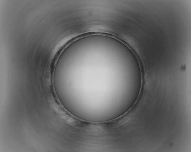 X0000112420931200908211142