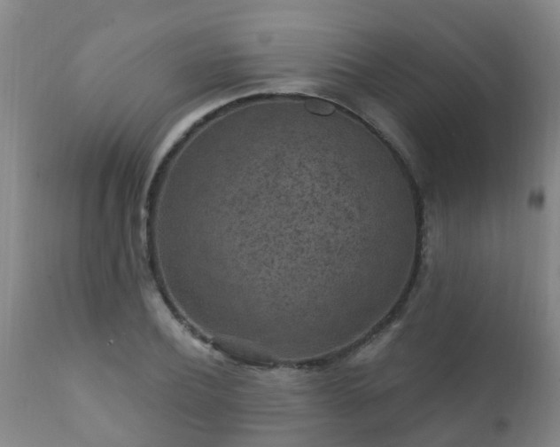 X0000112420932200908211142