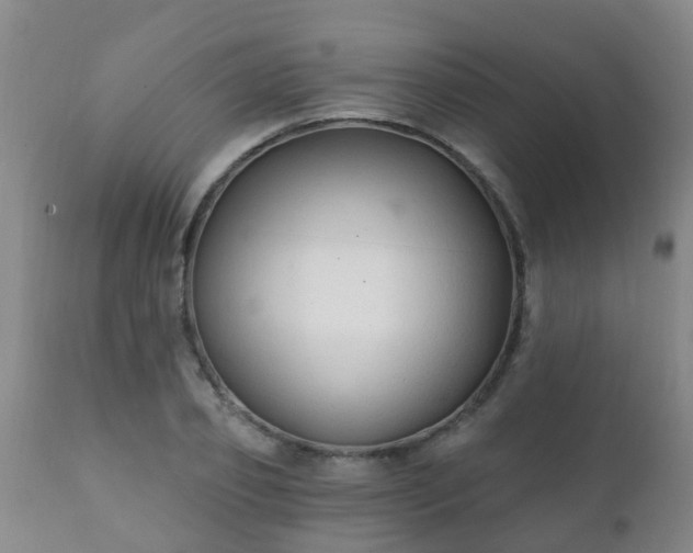 X0000112420933200908211142