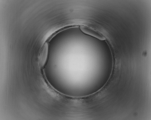 X0000112420936200908211142