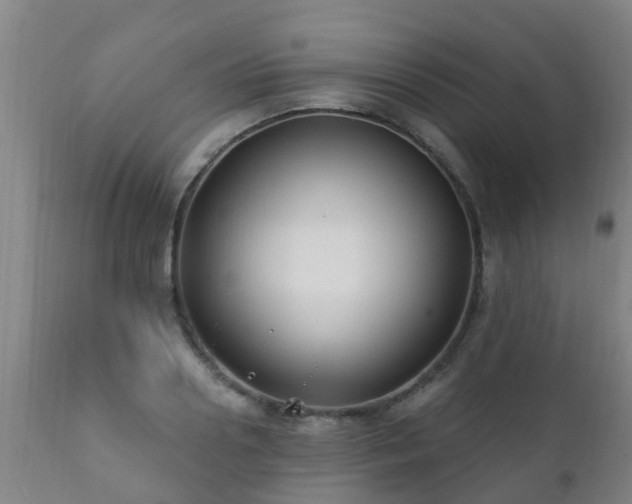 X0000112420938200908211142