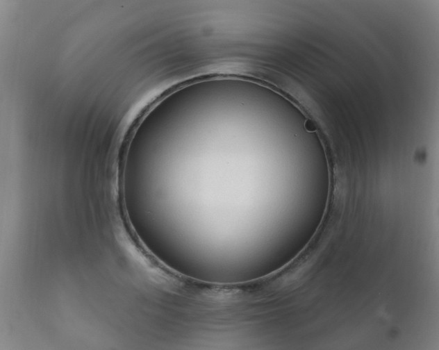 X0000112420939200908211142