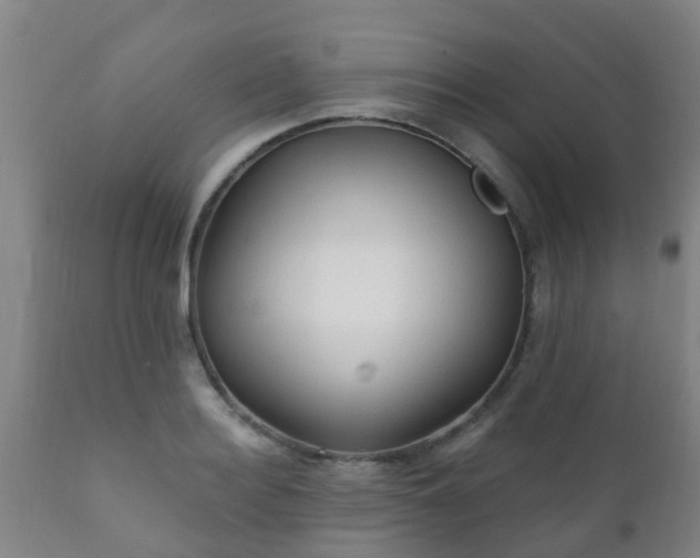 X0000112420940200908211142