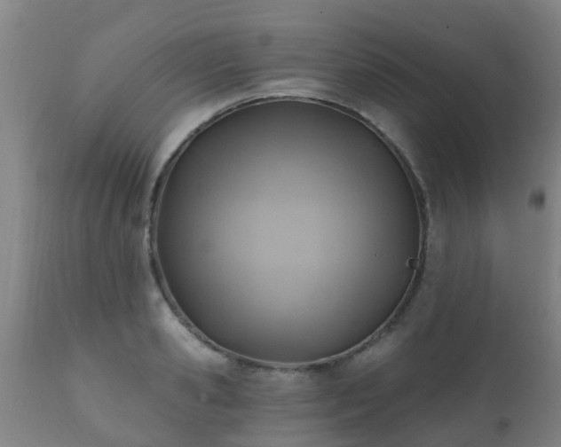 X0000112420941200908211142