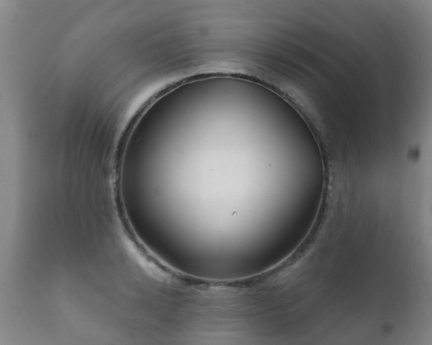 X0000112420942200908211142