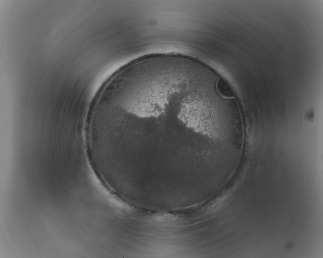 X0000112420943200908211142