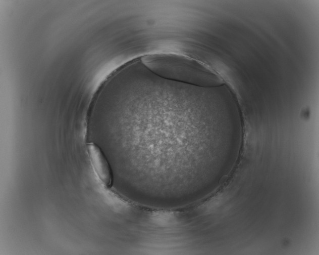 X0000112420944200908211142